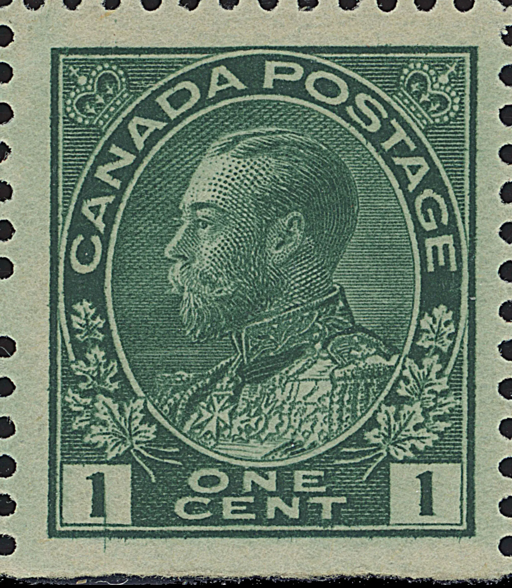 Image provided by Jim McCormick